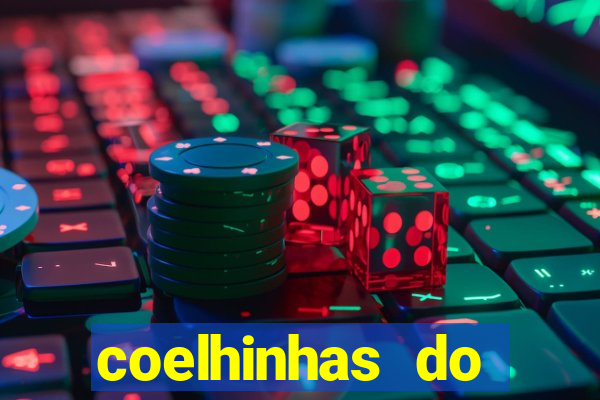 coelhinhas do brasil site